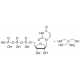 URIDINE 5'-TRIPHOSPHATE TRIS TYPE VI 