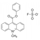 10-metil-9-(fenoksikarbonil)akridinio fluorsulfonatas, >=90% (HPLC), >=90% (HPLC),
