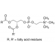 L-alfa-Fosfatidilcholinas iš kiaušinio trynio, tipo XIII-E, 100 mg/mL etanolyje, tirpalas iš kiaušinio trynio, tipo XIII-E, 100 mg/mL etanolyje, tirpalas