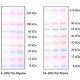 ColorBurst(TM) molekulinės masės žymeklis elektroforezei mol wt 8.000-220.000 Da mol wt 8.000-220.000 Da