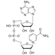 b-Nikotinamido adenino dinukleotido hidratas - 98%, BioUltra, iš mielių, 250mg 
