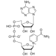 beta-nikotinamido adenino dinukleotidas pkg 10 mg (vienam buteliukui) pkg 10 mg (vienam buteliukui)