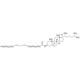 Cholesterillinoleatas >=98% (HPLC; nustatymui prie 205 nm) >=98% (HPLC; nustatymui prie 205 nm)