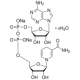 beta-nikotinamido adenino dinukleotidas, redukuotos dinatrio druskos hidratas >=97.0% (HPLC) >=97.0% (HPLC)