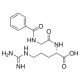 HIPPURYL-ARG 