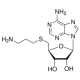 S-(5'-Adenosyl)-3-thiopropylamine 