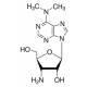 PUROMYCIN AMINONUCLEOSIDE 