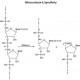 RIBONUCLEASE A TYPE X-A: SOLUTION FROM*B OVINE PANCR 