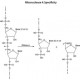 Ribonukleazė A, 70U/mg, molekulinei biologijai, 250mg 