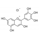 Delfinidino chloridas, šv. 95%, 1mg 