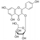 Kaempferolio 3-beta-D-glukopiranozidas >=97.0% (HPLC) >=97.0% (HPLC)