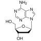 2-Deoksiadenozino monohidratas, milteliai, BioReagentas, tinkamas ląstelių kultūrai,