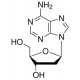 2-Deoksiadenozino monohidratas, milteliai, BioReagentas, tinkamas ląstelių kultūrai, milteliai, BioReagentas, tinkamas ląstelių kultūrai,