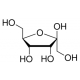 D-PSICOSE 