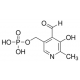 PYRIDOXAL 5'-PHOSPHATE HYDRATE POWDER, B 