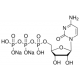 Citidino 5'-trifosfato dinatrio druskos tirpalas HPLC išgrynintas, vandeninis tirpalas skirtas RNR polimerazės transkripcijai HPLC išgrynintas, vandeninis tirpalas skirtas RNR polimerazės transkripcijai