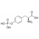 O-PHOSPHO-L-TYROSINE 