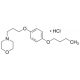 PRAMOXINE HYDROCHLORIDE 