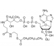 PALMITOYL COENZYME A (C16:0) LITHIUM 