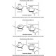 Chondroitinazė ABC iš Proteus vulgaris liofilizuoti milteliai, 0.3-3 vienetai/mg gryno (naudojant chondroitino sulfatą C kaip substratą) liofilizuoti milteliai, 0.3-3 vienetai/mg gryno (naudojant chondroitino sulfatą C kaip substratą)
