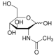 N-acetil-D-gliukozaminas, tinkamas ląstelių kultūrai, BioReagentas,
