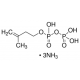 Izopentenilo pirofosfato triamonio druskos tirpalas 1 mg/mL metanolyje (:vandeninis 10 mM NH4OH (7:3)), >=95% (TLC) 1 mg/mL metanolyje (:vandeninis 10 mM NH4OH (7:3)), >=95% (TLC)