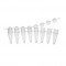 STRIP PCR 8 MICROTUBES 0,2ML + CAP DOME x125 