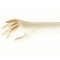 GLOVE SEMPERCLEAN MC POWDERFREE 8,5