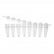 STRIP 8 MICROTUBES 0,2ML PCR + CAP DOME MULTI x250 