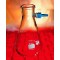 FILTRATION FLASK ERLENMEYER 1L