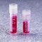 CRYOGENIC VIAL STERILE 5ML