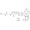 COENZYME A SODIUM SALT HYDRATE BIOREAGEN