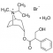 IPRATROPIUM BROMIDE MONOHYDRATE