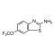RILUZOLE GLUTAMATE RELEASE INH