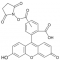 5(6)-CARBOXYFLUORESCEIN N-HYDROXYSUCCINIMIDE ESTER BIOREAGENT, SUITABLE FOR FLUORESCENCE, MIXTURE OF ISOMERS, >= 90% (H