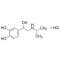 (PLUS-MINUS)-ISOPROTERENOL*HYDROCHLORIDE