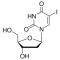 5-IODO-2'-DEOXYURIDINE SIGMA GRADE