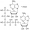 P1,P5-DI(ADENOSINE-5') PENTAPHOSPHATE*AM MONIUM