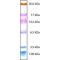 COLOR MARKER ULTRA-LOW RANGE (M.W. 1,060-26,600)