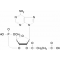 2'-O-MONOSUCCINYLADENOSINE 3':5'-*CYCLIC  MONOPHOSPH