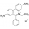 Ethidium bromide solution, for fluorescence, ~1% in H2O