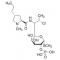 CLINDAMYCIN PHOSPHATE