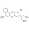 NILE BLUE CHLORIDE