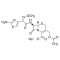 CEFOTAXIME SODIUM SALT, PLANT CELL CULTU
