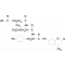N-SUCCINYL-LEU-TYR 7-AMIDO-4-*METHYLCOUM ARIN