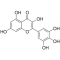 Myricetin,