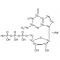 GUANOSINE-13C10,15N5 5'-TRIPHOSPHATE SOD