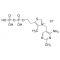 THIAMINE PYROPHOSPHATE