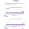 COLLAGEN FROM FROM HUMAN PLACENTA BIOREA