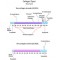 COLLAGEN TYPE I, ACID SOLUBLE FROM HUMAN